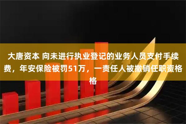 大唐资本 向未进行执业登记的业务人员支付手续费，年安保险被罚51万，一责任人被撤销任职资格