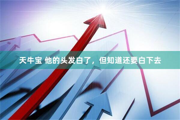 天牛宝 他的头发白了，但知道还要白下去
